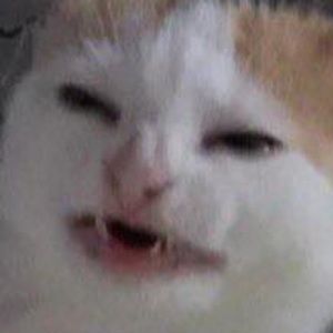 Meet your Posher, Jeffrey